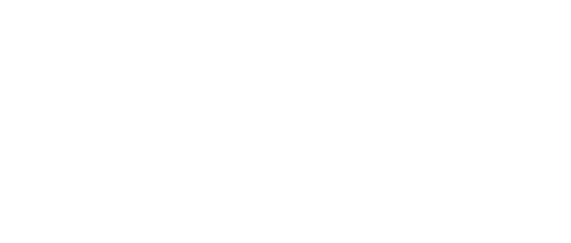 PREMIUM NOBIEEE AYA