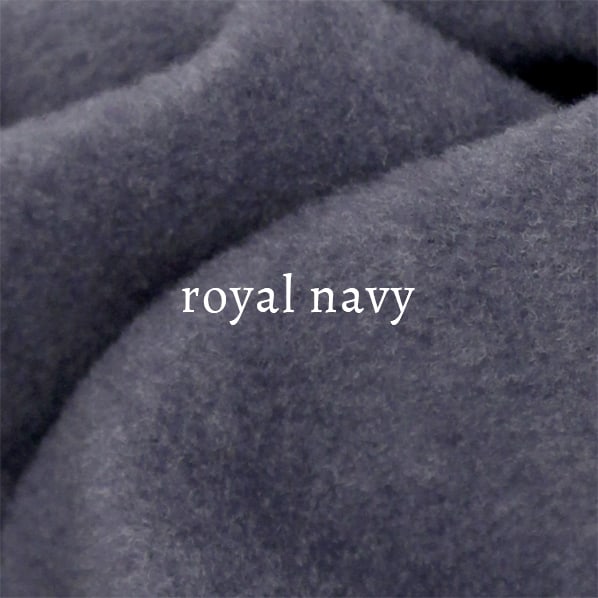 royal navy