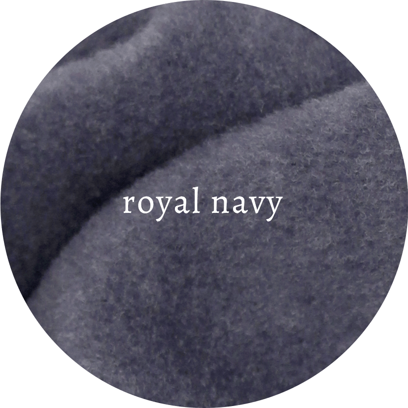 royal navy